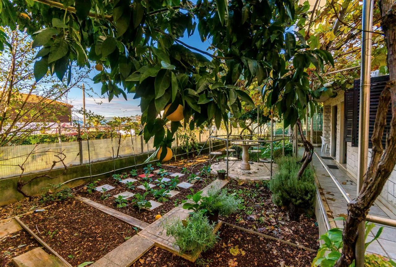 טרוגיר Apartments Anna מראה חיצוני תמונה